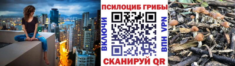 мега вход  продажа наркотиков  Приморско-Ахтарск  Псилоцибиновые грибы Psilocybe 